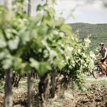 Hotel Falkensteiner Park Punat