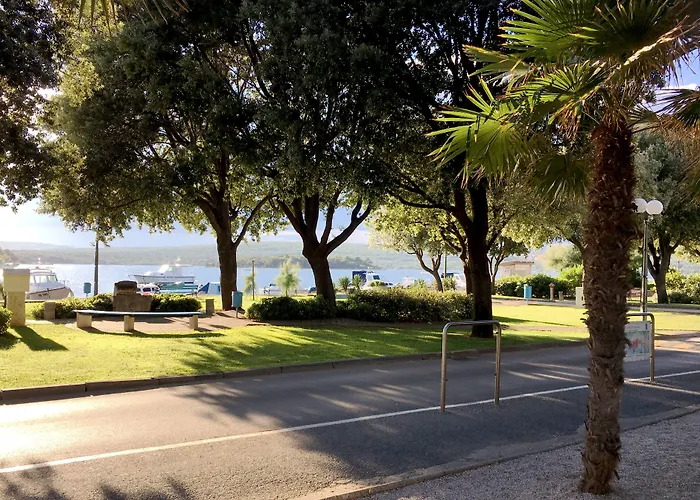 普纳特法肯斯特诺全包式酒店 4* 普纳特