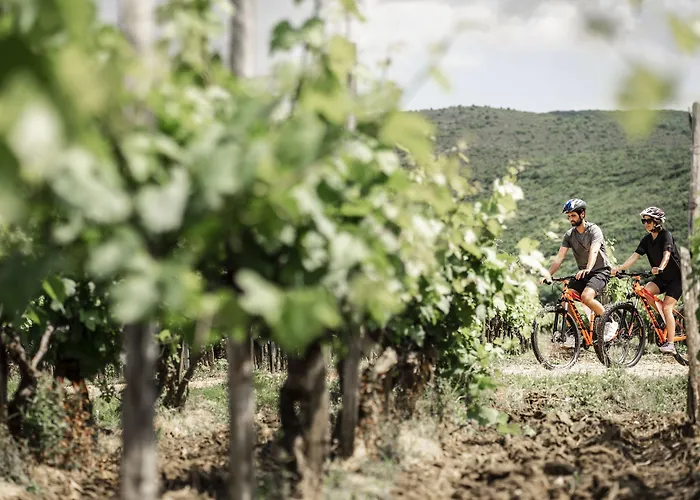 酒店 普纳特法肯斯特诺全包式酒店 普纳特